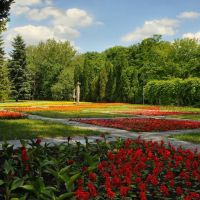 Park Cytadela, ogród kwiatów rocznych, Познань