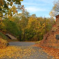 Poznan Citadel Park, autumn, Познань