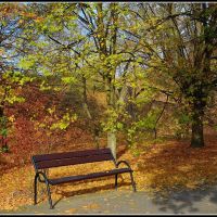 empty bench in the autumn sun, Познань