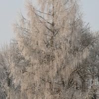 Beautiful winter day in the Citadel Park, Познань