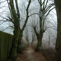 path to the lake, december, Валч