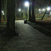 Parka nadmorski i pomnik Zaślubin nocą., Колобржег