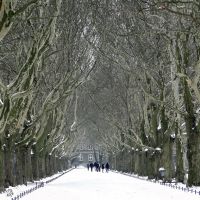 Szczecin. Winter in the park, Щецин