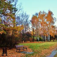 Park nad Jasieniem w jesiennych barwach, Лодзь
