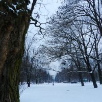 Zima w Parku Staromiejskim, Łódź/Winter in  Staromiejski Park, Lodz, Лодзь