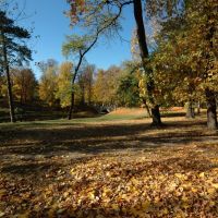 Park w Skierniewicach, okolice miejsca gdzie stał zamek (www.zamki.pl), Скерневице