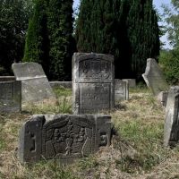 2012 08 05 Jewish cemetery, Скерневице