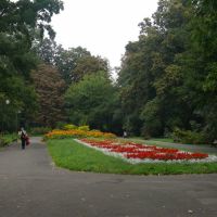 Ogród Saski, Люблин