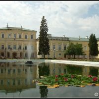 Pałac w Puławach, Пулавы