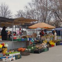 Zielony Rynek przed Wielkanocą, Томашов Любельски