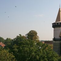 Wieża Woka w Prudniku, Прудник