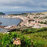 Cidade da Horta, Ilha do Faial, Матосинхос