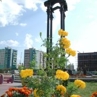 Памятник в центре, Радужный