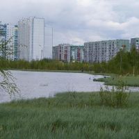 Озеро Комсомольское.г.Нижневартовск, Нижневартовск