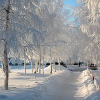 *** Winter of 2011 in Nizhnevartovsk ***, Нижневартовск