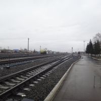 Станция Алейская, Вид на север, Алейск