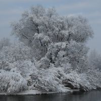 зима, Алтайский
