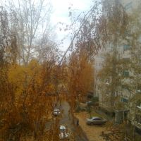 Осень в Заринске, Заринск