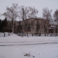 Средняя школа зимой, Ребриха