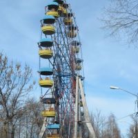 A Ferris Wheel in the Kirovs Park. 2010 November, Рубцовск