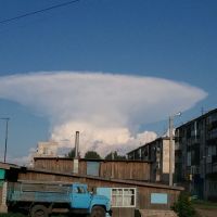 Призрак аппокалипсиса, Рубцовск