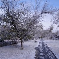 первый снег, Славгород