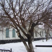 весенний снег, Славгород