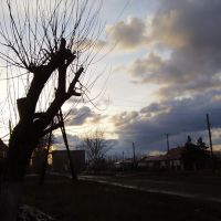 холодная весна, Славгород