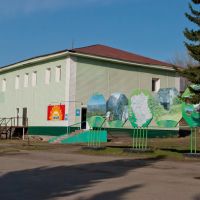 Красноармейская, центр, весна 2012г., Солонешное