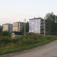 дома в поселке (buildings in village), Возжаевка