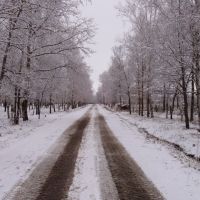 зимняя дорога (winter road), Возжаевка
