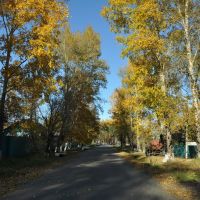 Ekaterinoslavka (2012-09) - Side Road, Екатеринославка