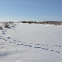 Ekaterinoslavka (2013-02) - River Ivanovka covered with snow, Екатеринославка