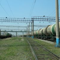 Железная дорога (недалеко от виадука), Завитинск