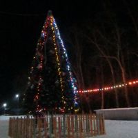 новогодняя ёлка на площади, Завитинск