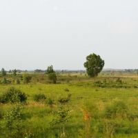Amur Region Landscape / Амурский пейзаж, Ромны