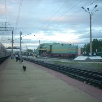 Станция Сковородино, Сковородино