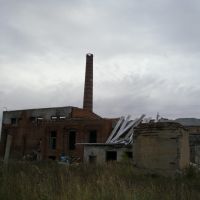 целлюлозный завод №5, Волошка