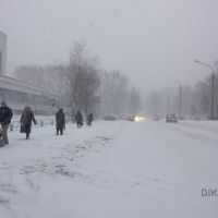 Снегопад, Северодвинск