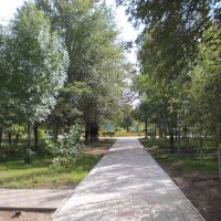 Дорожка в парке, Ахтубинск