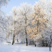 Зима в парке, Уфа