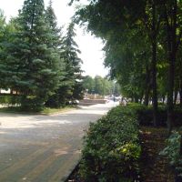 парк, Алексеевка