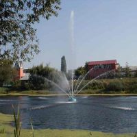 фонтан на реке Тихая Сосна, Алексеевка