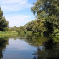 Любимая речка Оскол, Волоконовка