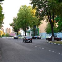 Улица Ленина, Губкин
