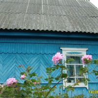 Дом в Салтановке, Алтухово