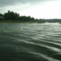 Rain on the lake, Бытошь
