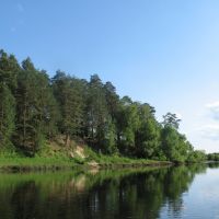 река Десна вблизи г.Жуковка Брянской области. Июнь 2008 года., Жирятино