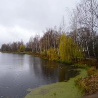 The Lake, Злынка