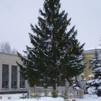 Christmas tree, Злынка